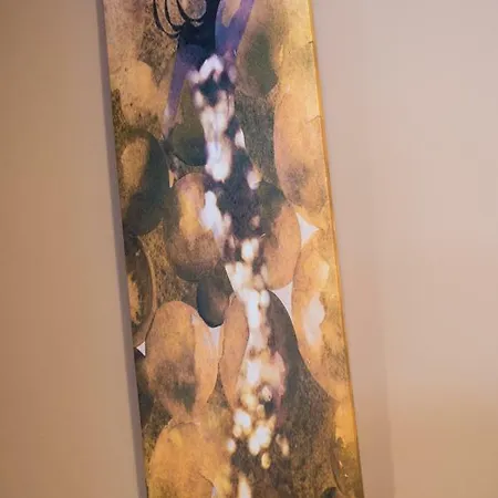 Elegant מוסטר